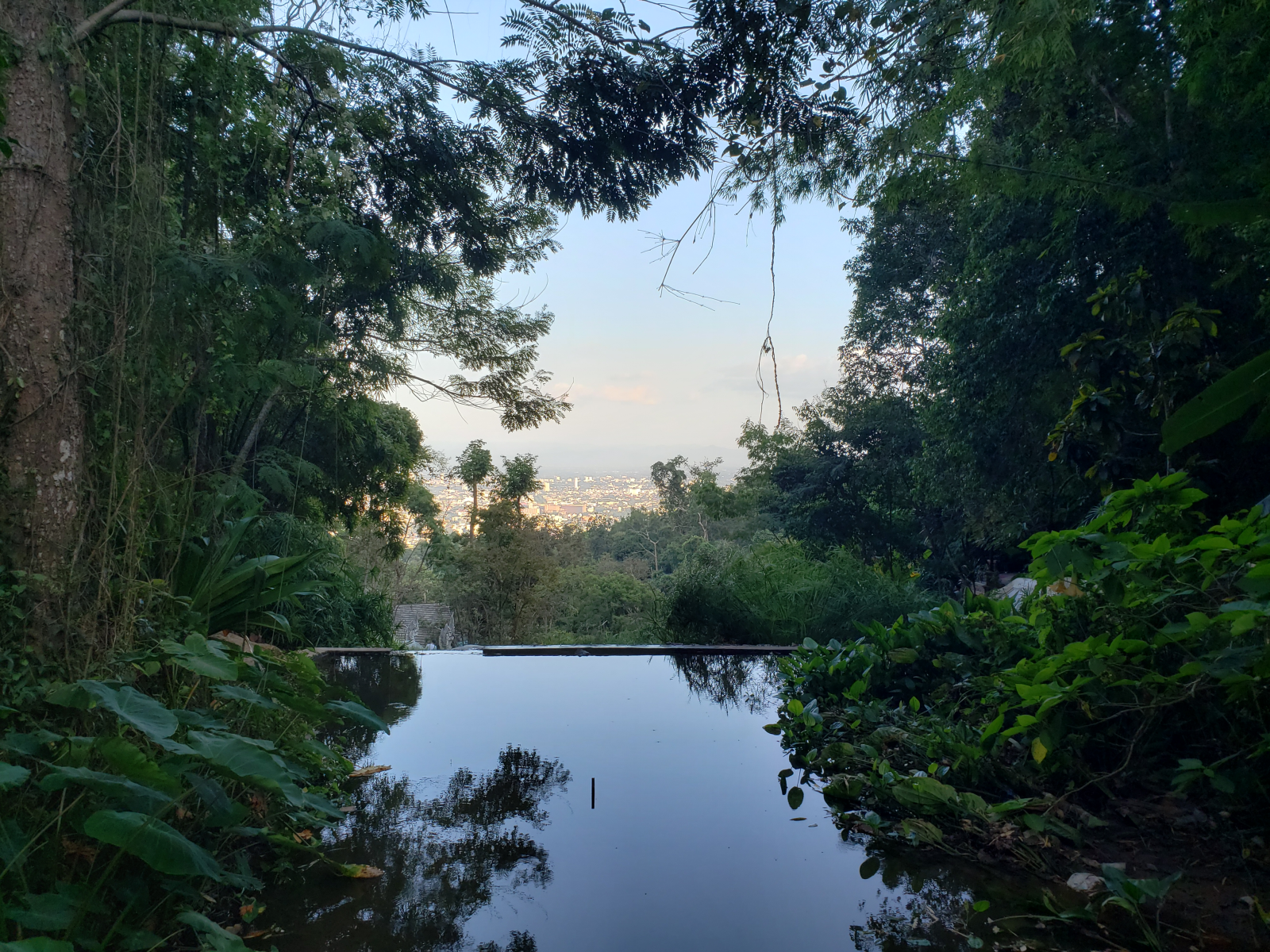 Explore orienteering in Thailand. Image by Raphael Mak in Chiang Mai